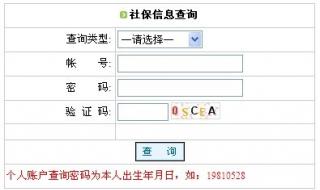 社保查询个人账户明细