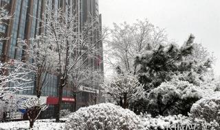 河北多地降雪一夜返冬