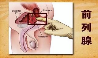 前列腺病自我按摩图解