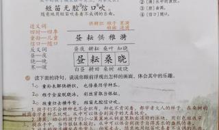 稚子弄冰改写作文400字五年级