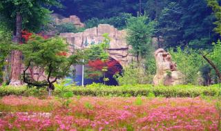 湖北医学院药护学院