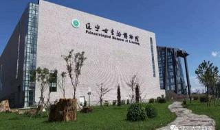 沈阳理工大学图书馆