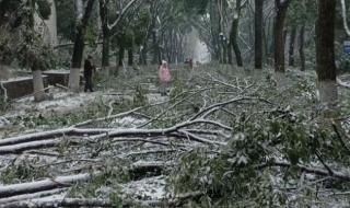 湖北冻雨有多严重记者实地探访