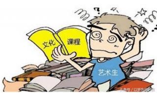 艺术生可以报考的学校